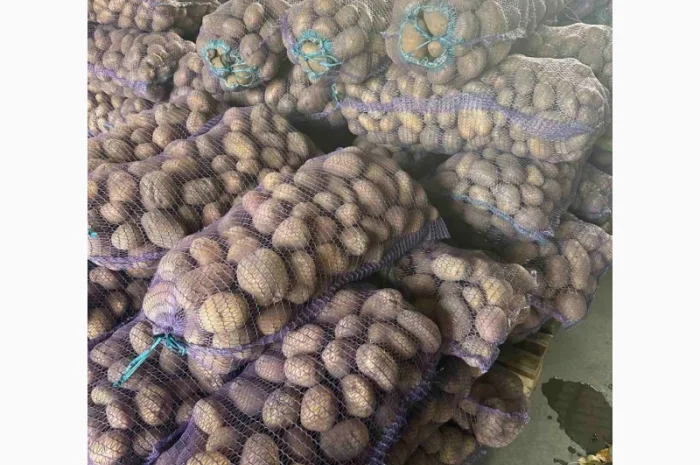 Продам картоплю- фото № 1