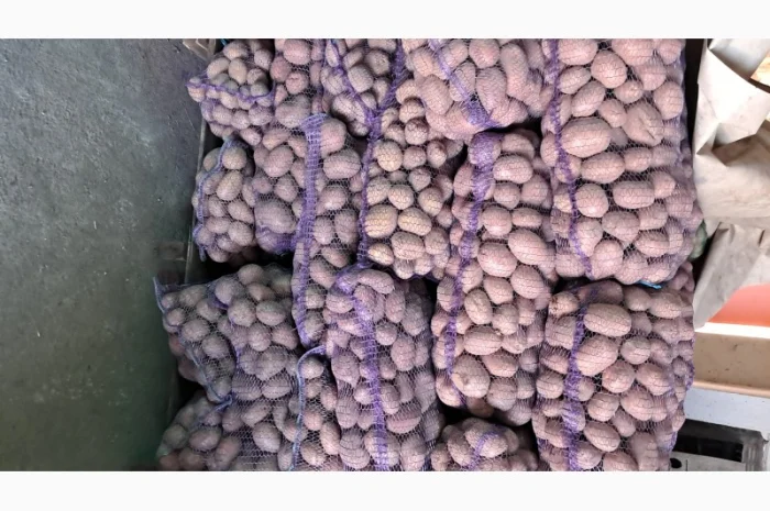 Продам картоплю- фото № 1