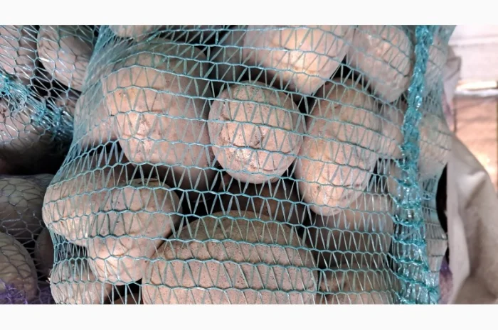 Продам картоплю- фото № 5