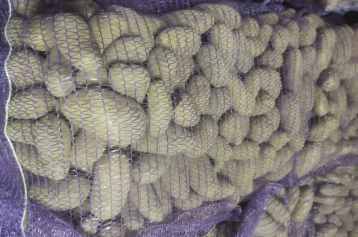 Гранада- фото № 1