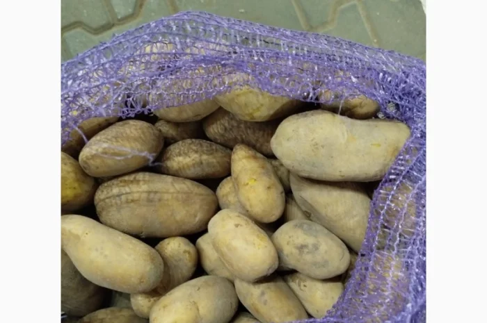 Продам Гранада- фото № 1