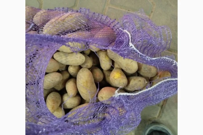 Продам Гранада- фото № 2