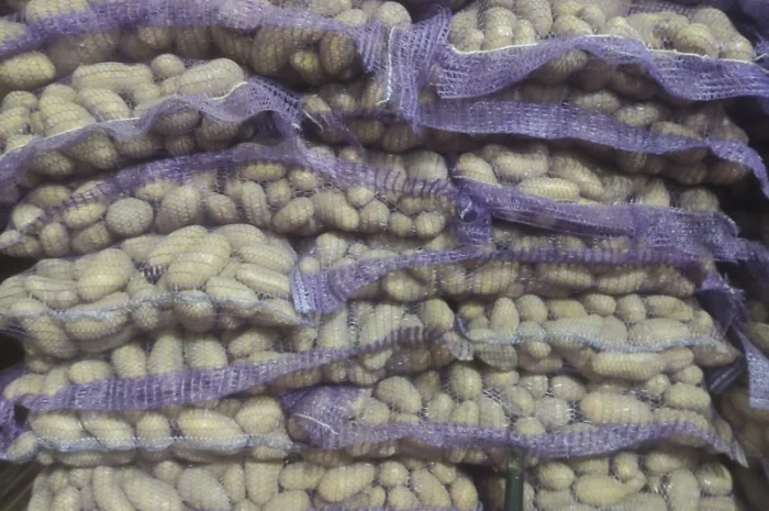 Продам Гранада- фото № 5