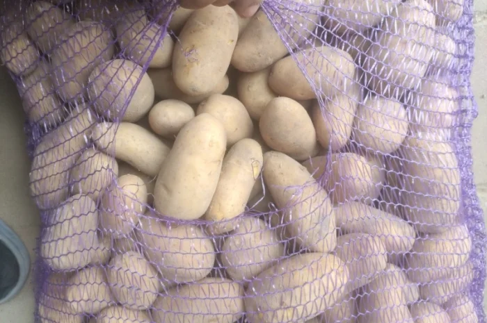 Продам Гранада- фото № 6