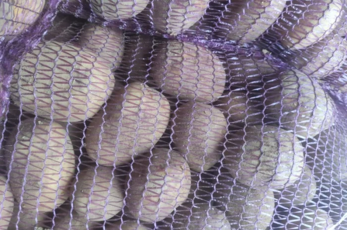 Продам товарный картофель Виктория- фото № 2