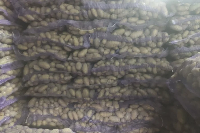 Продам Гранада- фото № 1