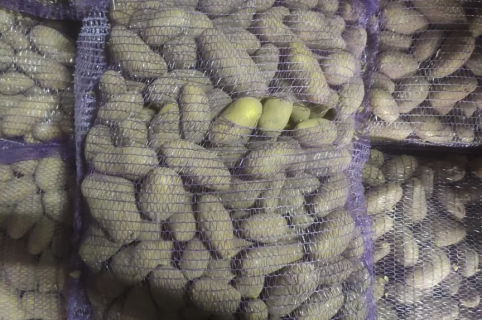 Продам Гранада- фото № 3