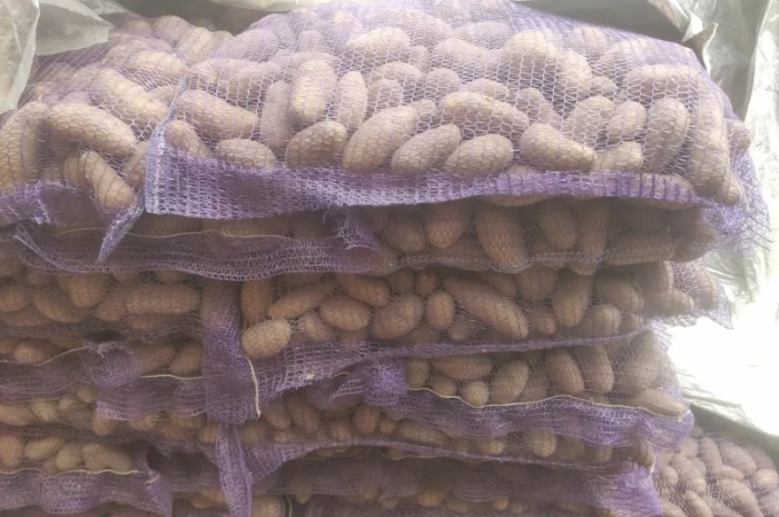 Продам Гранада- фото № 5