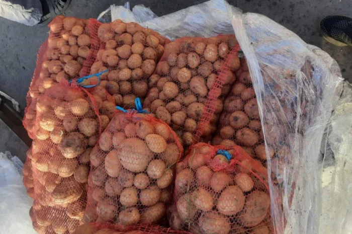 Куплю картофель- фото № 1