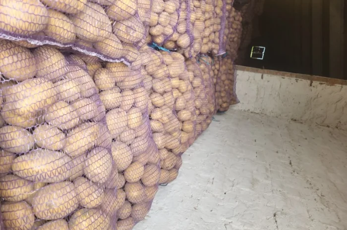 Продам картоплю- фото № 1