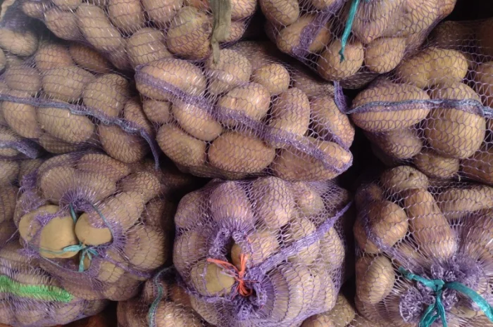 Продам картоплю- фото № 1