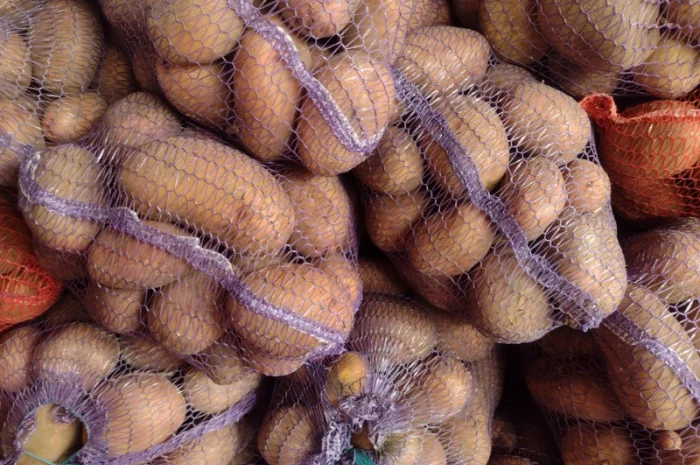 Продам картоплю- фото № 3