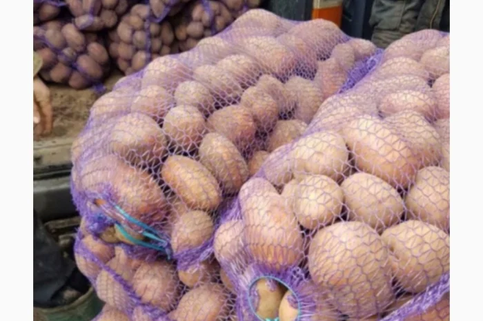 Куплю картоплю- фото № 1