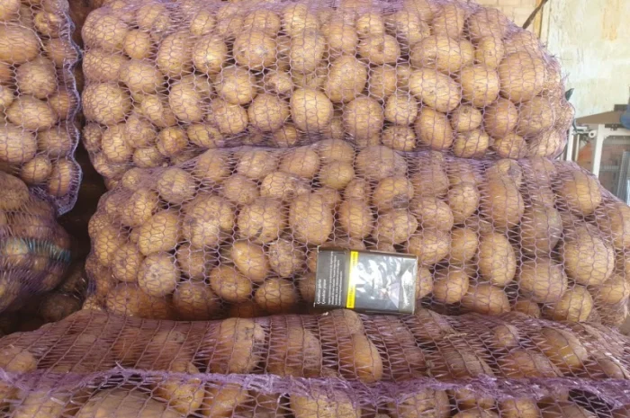 Продам картофель- фото № 1