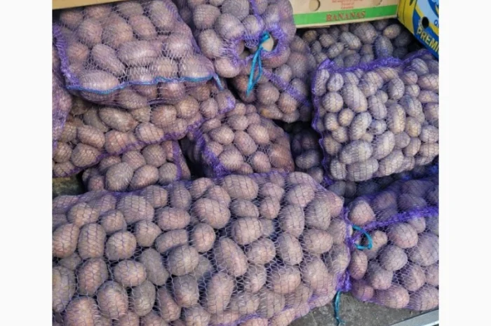 Продам картопля- фото № 1