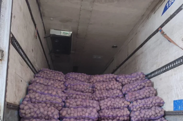 Продам картофель отличного качества- фото № 2