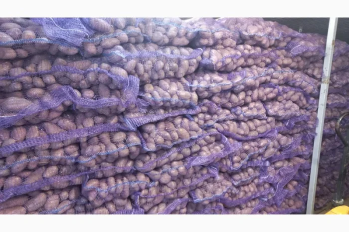 Продам картофель отличного качества- фото № 5