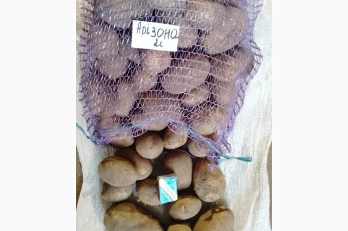 Продам картоплю товарну- фото № 2