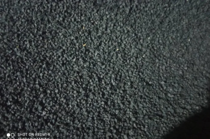 Продам семена лука Штутгарт- фото № 4