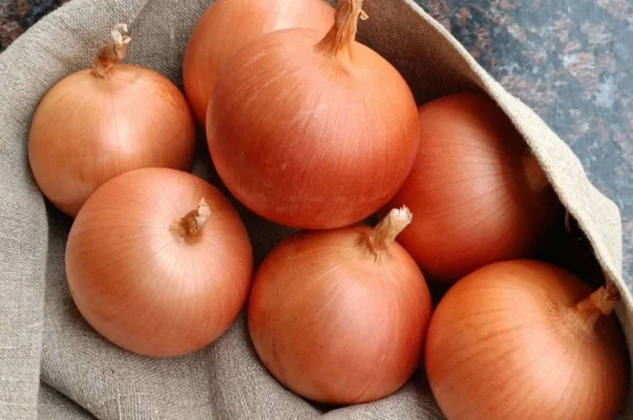 Продам насіння цибулі Мелорі, Легасі, Легенд, Боско, Дерек- фото № 1