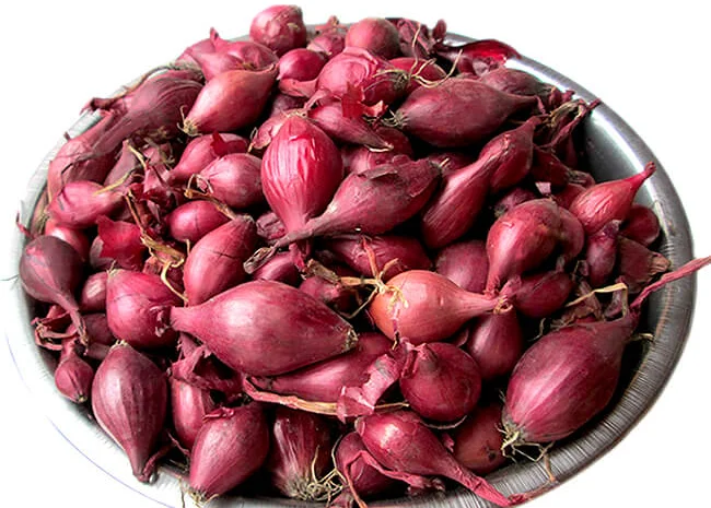 Продам лук-севок Ред Барон- фото № 1