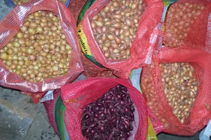 Продам цибулю сіянку, найкращих голандських сортів- фото № 3