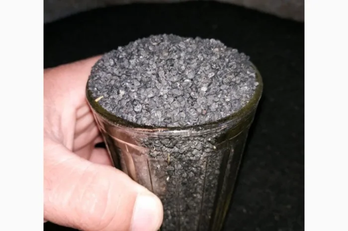 Семена ялтинского лука- фото № 2