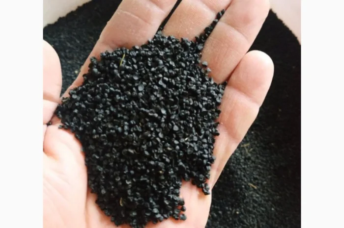 Семена ялтинского лука- фото № 3