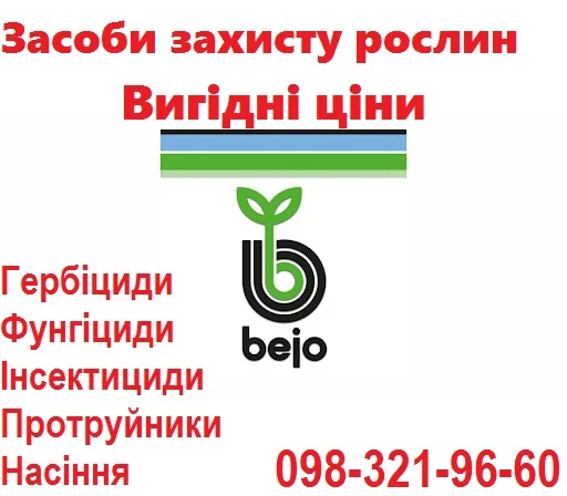 Профессиональные семена моркови Vilmorin Франция, Bejo Голландия, Seminis, (Оптовые цены)- фото № 1