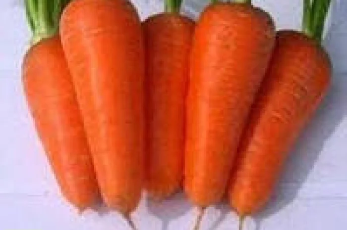 Продам семена морковки, Одесса + доставка почтой по Украине- фото № 1