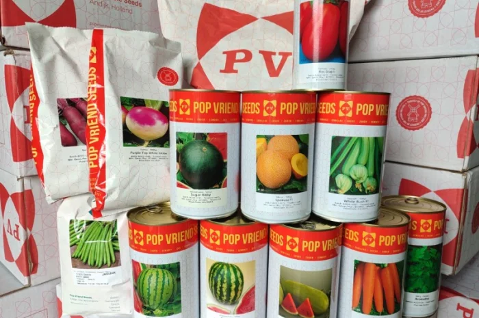 Насіння Морква столова Шантане Нантес Берлікум Флакке- фото № 1