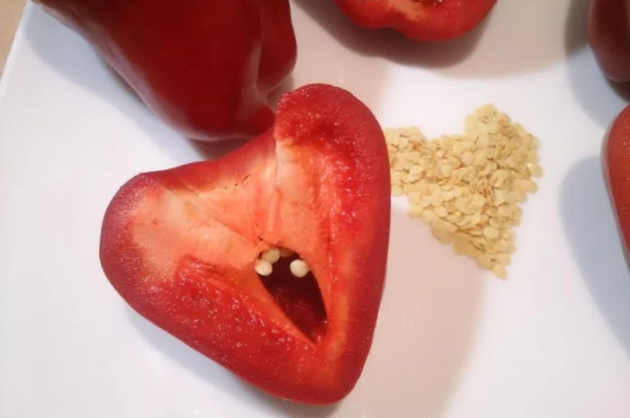 Семена толстостенного сладкого перца Микс- фото № 1