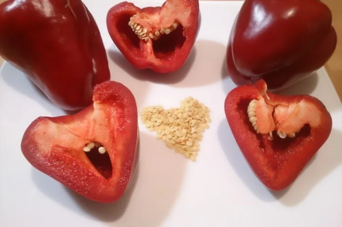 Семена толстостенного сладкого перца Микс- фото № 2