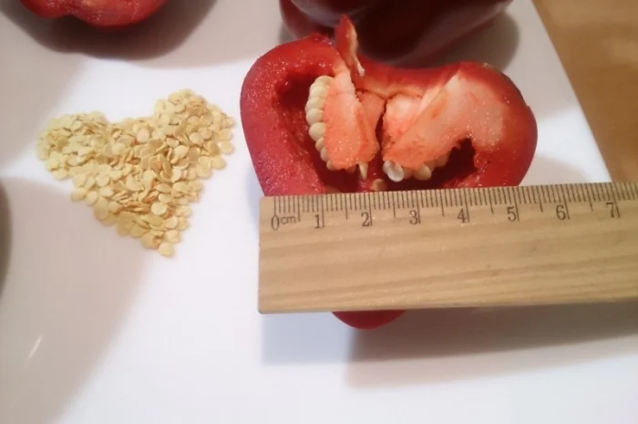 Семена толстостенного сладкого перца Микс- фото № 3