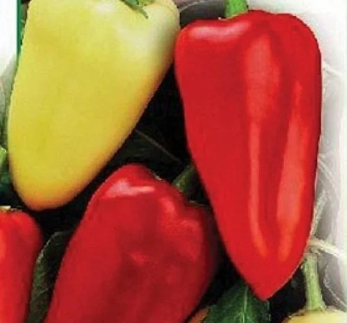 Семена перца из частной коллекции- фото № 1