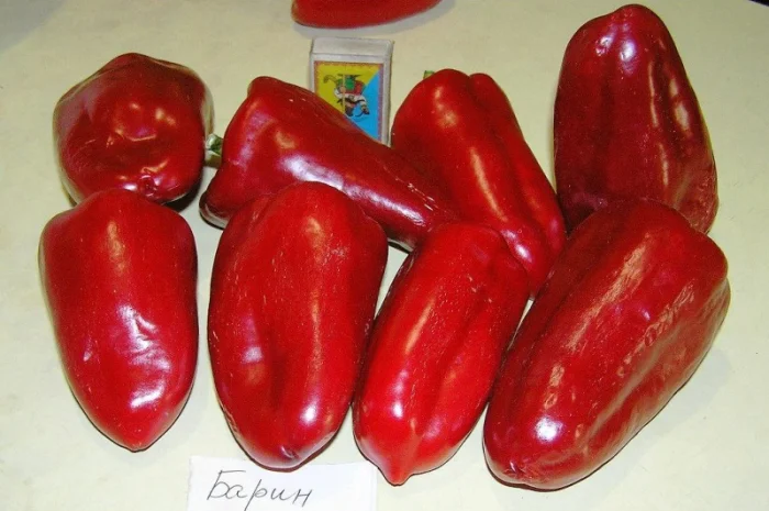 Семена перца из частной коллекции- фото № 6