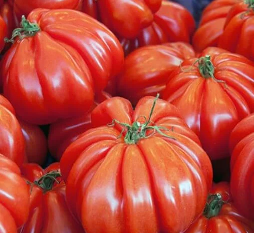 Семена томатов из частной коллекции- фото № 2