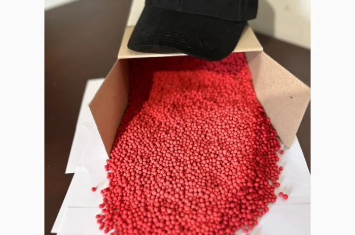 Насіння цукрового буряка АВАЛОН РС (стійкий до гліфосату)- фото № 1