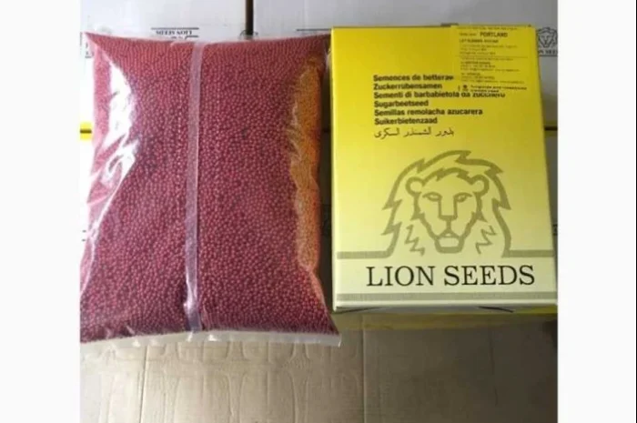 Насіння цукрового буряка Портланд від Лаєн Сідс- фото № 1