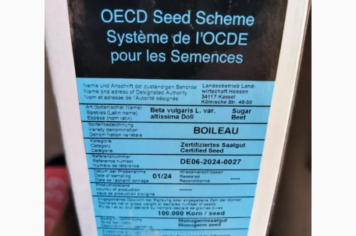 БУАЛО - насіння цукрового буряка Штрубе- фото № 1