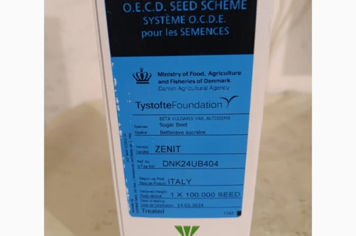 ЗЕНІТ - Насіння цукрового буряку з високим виходом цукру з гектару- фото № 4