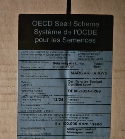 Концертіна КВС – насіння цукрового буряка- фото № 2