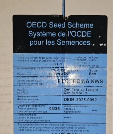 Концертіна КВС – насіння цукрового буряка- фото № 3