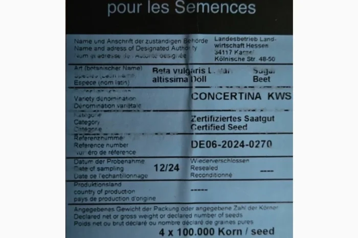 Концертіна КВС – насіння цукрового буряка- фото № 4