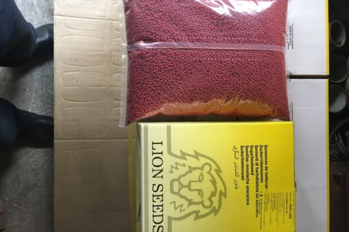 Портланд - насіння буряка цукрового від Лаєн Сідс- фото № 1