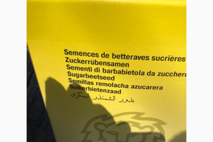 Портланд - насіння буряка цукрового від Лаєн Сідс- фото № 4