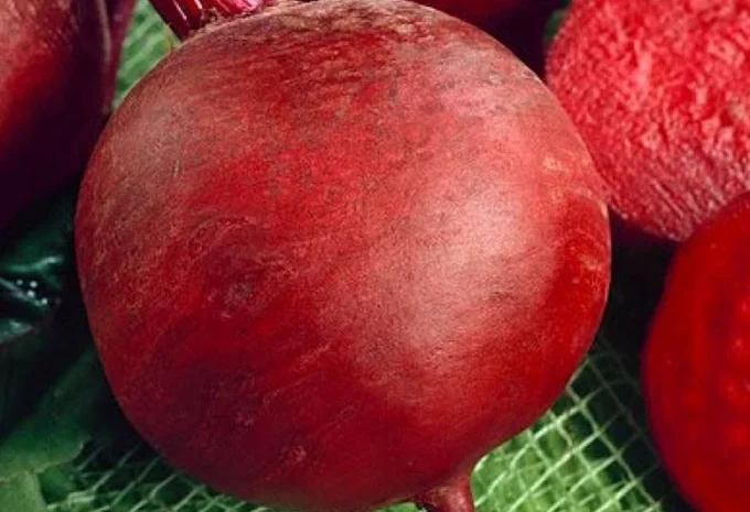 Продам семена Свекла Красный Шар- фото № 1