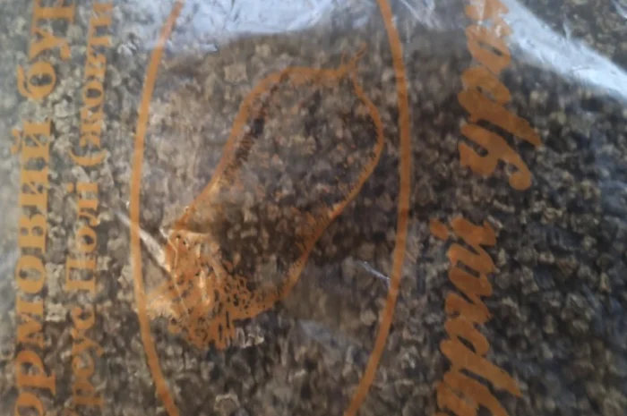 Продам насіння кормового буряка урсус полі- фото № 1