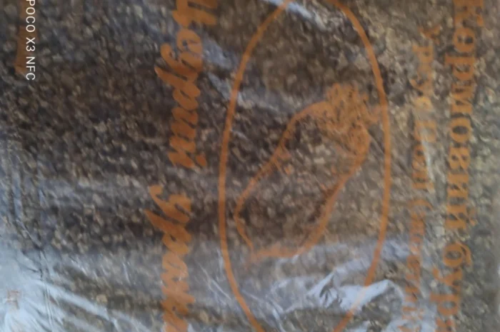 Продам насіння кормового буряка урсус полі- фото № 3