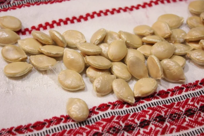 Семена тыквы Розовый фламинго на посадку- фото № 1